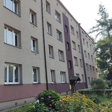 Apartament Curie Zabrze Ngoại thất bức ảnh
